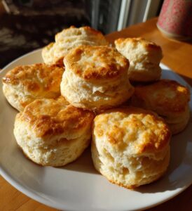 air fryer biscuits canned